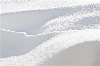 Abstract of snow and light