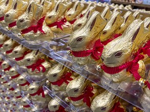 Lindt brand Easter bunnies