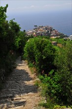 Fishing village Corniglia in the Cinque Terre