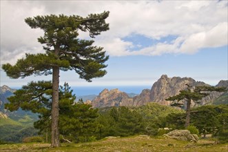 The Bavella Massif in Eastern Corsica