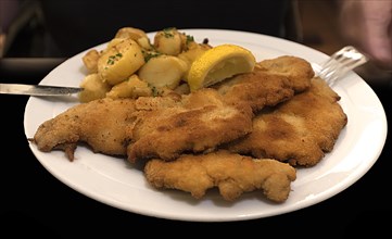 A portion of Schnitzel Viennese style with fried potatoes in a Franconian inn