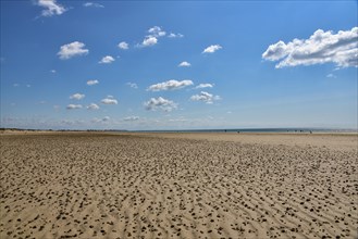 Beach at low tide in the department of Manche