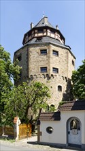 Alzey Castle