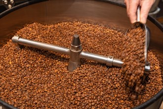 Roasted coffee is checked for residues