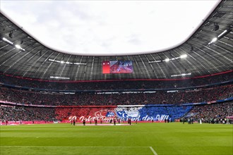 Choreography for the fan friendship between FC Bayern Munich and VfL Bochum 1848 BOC