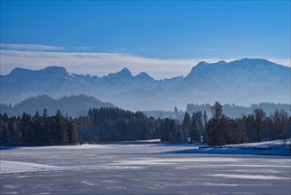 Ice-covered pond in the Allgaeu