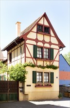 Rheinhessen half-timbered house