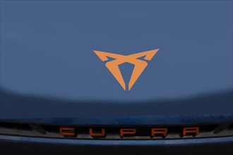 Logo of the Cubra car