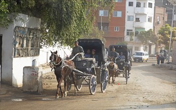 Horse-drawn carriages on the main street in Edfu