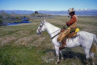 Cowboy on light horse with Vaquero Western Chaps