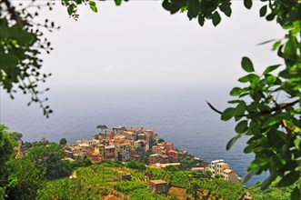 Fishing village Corniglia in the Cinque Terre