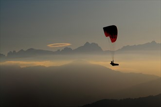 Paraglider