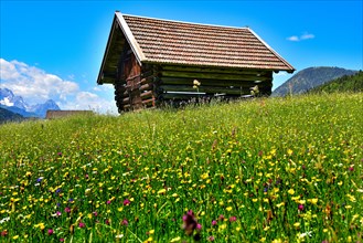 Hay barn on an alpine meadow in summer near Garmisch