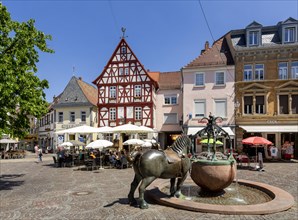 Rossmarkt with fountain and historic buildings