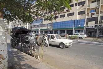 Horse-drawn carriage on the main road
