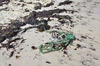 Dirty beach with seaweed