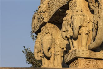 Elephant motifs elaborately carved on the North Torana