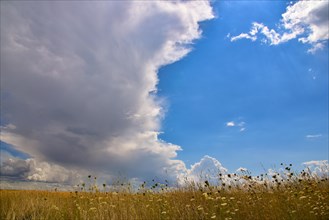 Cloud formation