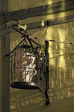 Iron birdcage with coffee cups from Cafe Finkenherd