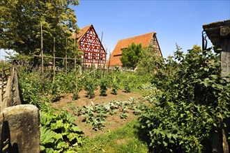 Farm garden behind hop farmhouse