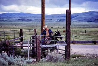 Cowboy on black horse inspects pasture gates