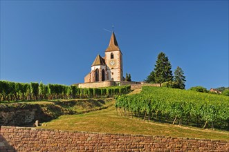 Saint-Jacques-le-Majeur Church in the vineyards of Hunawihr in Alsace