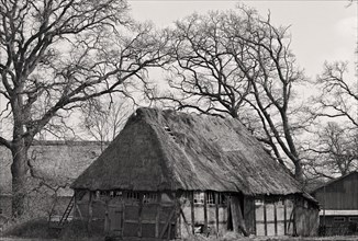 Thatched barn in Loehnhorst