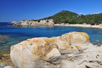 Beach in the Bouche de Bonifacio nature park Park in the south of Corsica