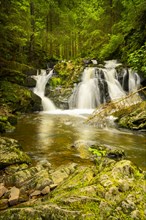 The Roetenbach waterfall in the forest
