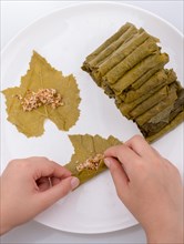Hands making stuffed grape leaves in Turkish style
