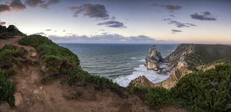 Sunset on the cliff with rocks in the sea