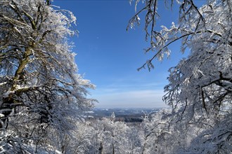Snowy winter landscape in the forest of Moerschieder Burr in sunshine with a view in the Hunsrueck-Hochwald National Park