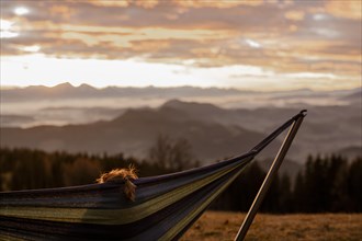 Woman in a hammock at sunset in the mountains