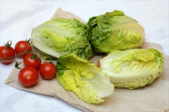 Baby lettuce and tomatoes on wrapping paper
