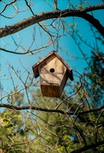 Bird house made of wood in view