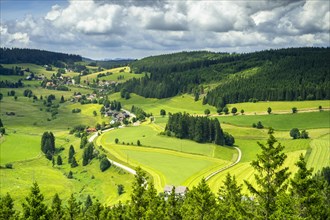 View from the Riesenbuehlturm on a landscape with a village