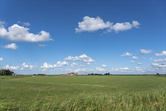 Landscape near the hamlet of Hoefe south of the canal