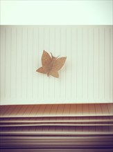 Paper is cut out in shape of a butterfly