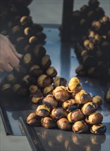 Organic brown chestnuts roasted over a hot fire