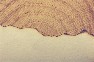 Paper with some burned edges