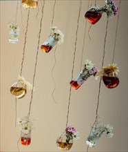 Herbal tea bottles with flowers hanging on strings