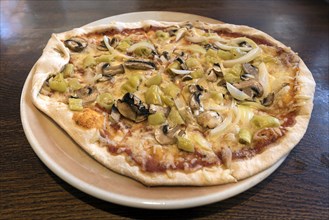 Oven-fresh Pizza Vegetaria