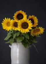 Bouquet of Sunflowers in Ceramic Vase
