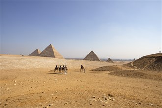 Camel riding on the west side of the pyramids