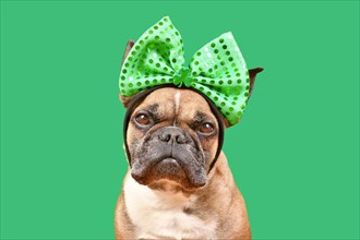 French Bulldog dog wearing St. Patricks Day costume headband with bow and shamrock on green background