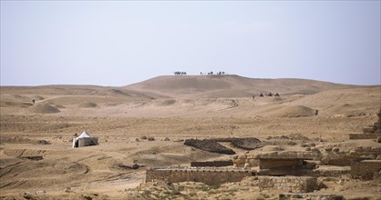 Camel Riding in the Desert