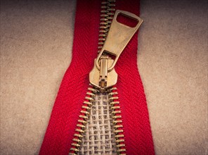 Closeup of a colorful zipper with metal teeth