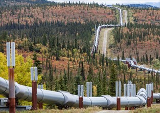 Alaska Pipeline on the Richardson Highway towards Valdez