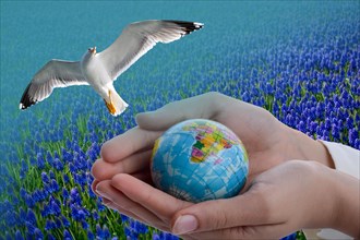 Seagull over a hand holding a little model globe in hand
