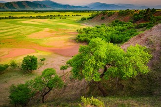 Nature in summer is so beautiful and colourful in Bulgan Province